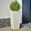 Product Thumbnail Image 2 of 12