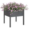 Product Thumbnail Image 3 of 8