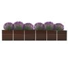 Product Thumbnail Image 2 of 6