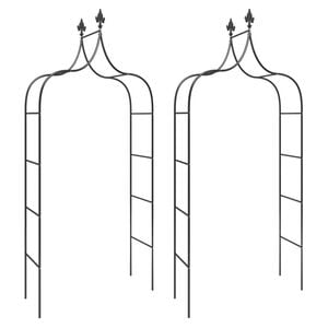 vidaXL Garden Arches 2 pcs Black 120x38x260 cm Steel