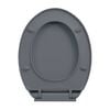 vidaXL Soft-Close Toilet Seat Quick Release Grey Oval