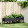 Product Thumbnail Image 2 of 7