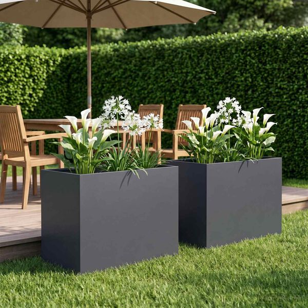 Showing Product Image 2 of 8