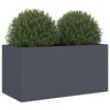 Product Thumbnail Image 4 of 11