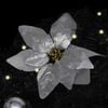 Product Thumbnail Image 4 of 7