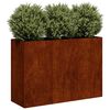 vidaXL Planter Rusty 120x40x80 cm Weathering Steel