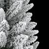 Product Thumbnail Image 4 of 8