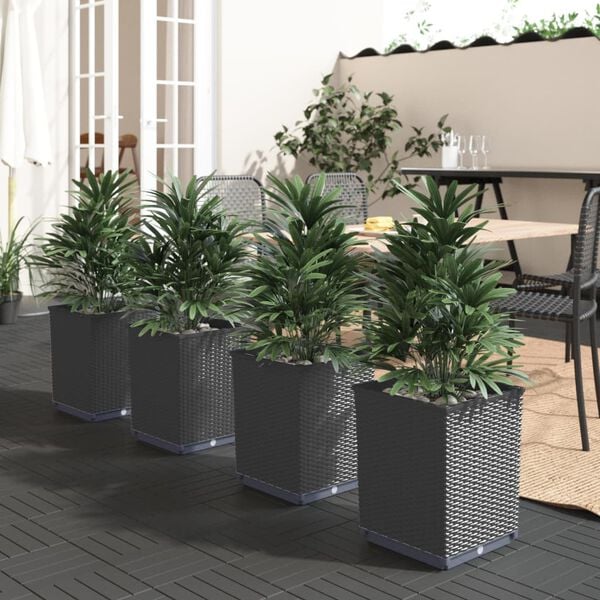 Showing Product Image 2 of 8