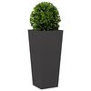 Product Thumbnail Image 4 of 12