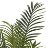 Product Thumbnail Image 4 of 5