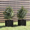 vidaXL Garden Planters 2 pcs Black 31x31x31 cm Solid Pinewood