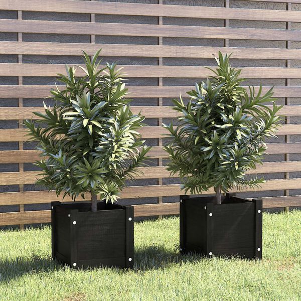 vidaXL Garden Planters 2 pcs Black 31x31x31 cm Solid Pinewood