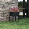 Product Thumbnail Image 2 of 7