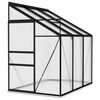 vidaXL Greenhouse | Anthracite and Transparent