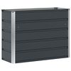 vidaXL Planter Anthracite 100 x 40 x 75 cm Steel