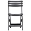 vidaXL Folding Garden Chairs 2 pcs Plastic Anthracite