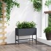 Product Thumbnail Image 4 of 12