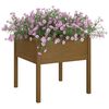 vidaXL Garden Planters 2 pcs Honey Brown 70x70x70 cm Solid Pinewood