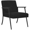 vidaXL Armchair Black Velvet