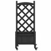 Product Thumbnail Image 4 of 10
