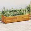 vidaXL Garden Raised Bed Acacia Wood 100x30x25 cm