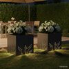 Product Thumbnail Image 3 of 11