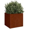 Product Thumbnail Image 3 of 11