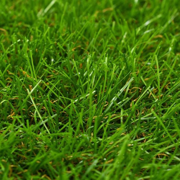 vidaXL Artificial Grass 1x8 m/30 mm Green