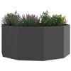 Product Thumbnail Image 3 of 10