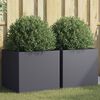 vidaXL Planters 2 pcs Anthracite 49x47x46 cm Steel