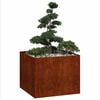 Product Thumbnail Image 3 of 10
