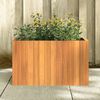Product Thumbnail Image 3 of 9