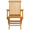 vidaXL Garden Chairs with Anthracite Cushions 2 pcs Solid Teak Wood