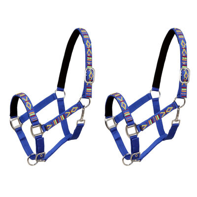vidaXL Head Collars 2 pcs for Horse Nylon Size Cob Blue