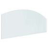 vidaXL Fireplace Glass Plate Transparent 120 x 50 cm Glass