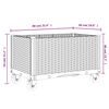 Product Thumbnail Image 7 of 7