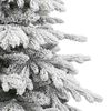 Product Thumbnail Image 5 of 9