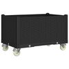 Product Thumbnail Image 5 of 7