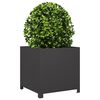 Product Thumbnail Image 3 of 10