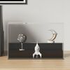 vidaXL Display Box Transparent 25x12x16 cm Acrylic