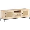 vidaXL TV Cabinet 120x30x40 cm Solid Mango Wood and Natural Cane