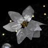 Product Thumbnail Image 6 of 6