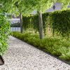 Product Thumbnail Image 2 of 10