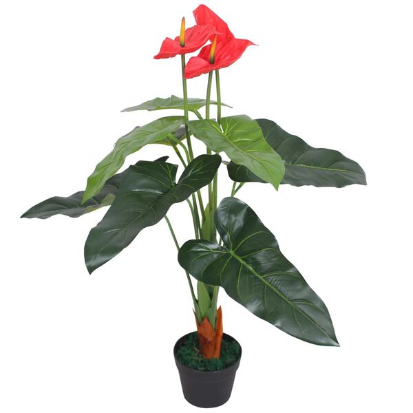 Showing Product Image 1 of 2
