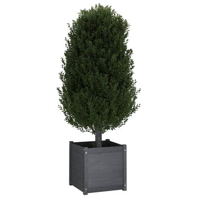 vidaXL Garden Planters 2 pcs Grey 50x50x50 cm Solid Pinewood