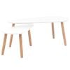 vidaXL Coffee Table | Set of 2 | White | Solid pinewood, MDF | Medium | Durable