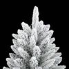Product Thumbnail Image 3 of 8