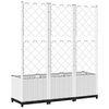 Product Thumbnail Image 6 of 8