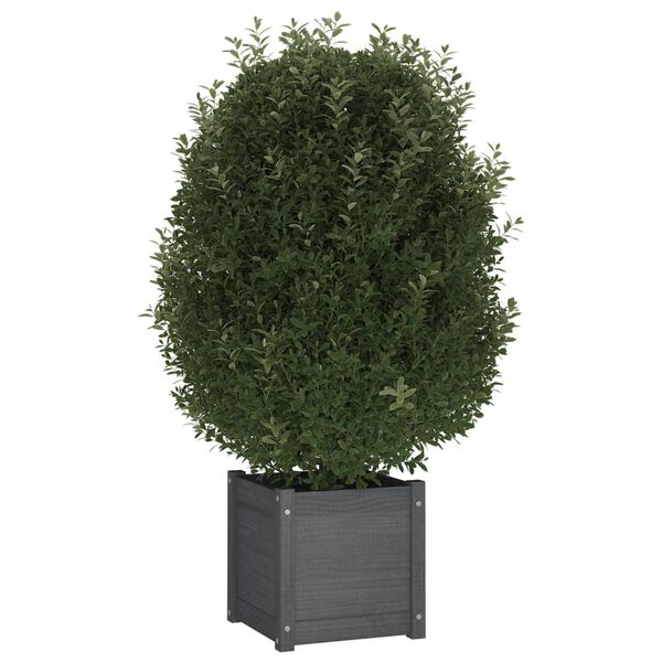 vidaXL Garden Planters 2 pcs Grey 40x40x40 cm Solid Pinewood