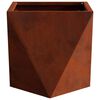 vidaXL Planter 2 pcs Rusty 30 x 30 x 30 cm Weathering Steel